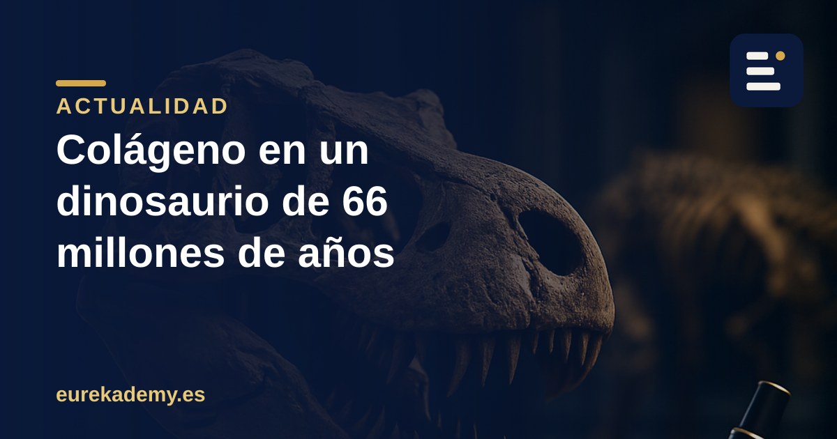 Colágeno en un dinosaurio de 66 millones de años: la química que lo caza