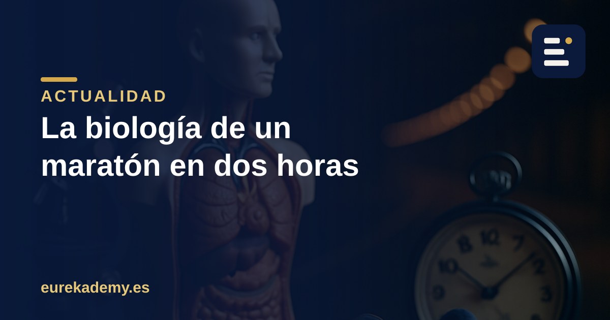 Correr un maratón en dos horas: la biología que lo hace posible
