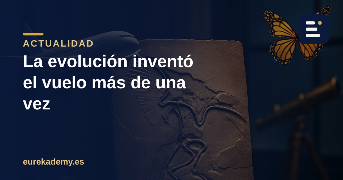 Un dinosaurio con cuatro alas y la evolución convergente del vuelo