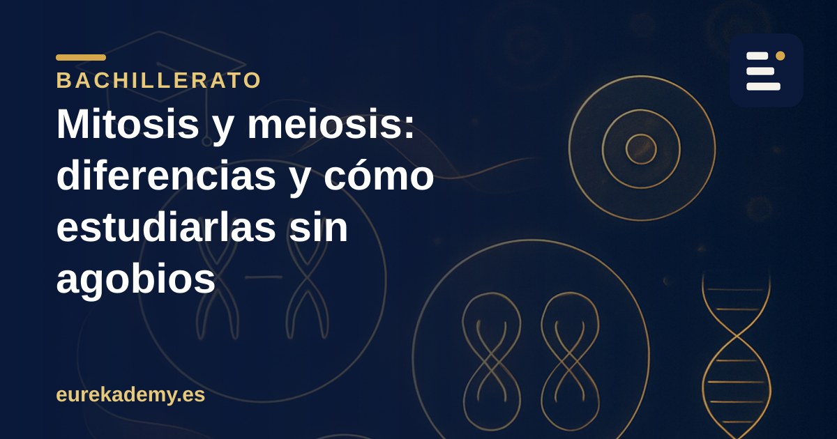Mitosis y meiosis: diferencias y cómo estudiarlas sin agobios